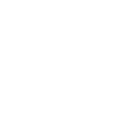 CTV Speed - White logo