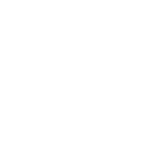 CTV Wild - White logo