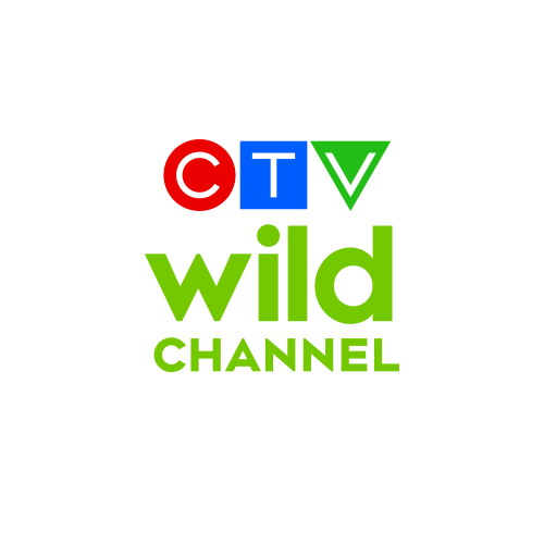 CTVWild_500x500_Colour_RGB