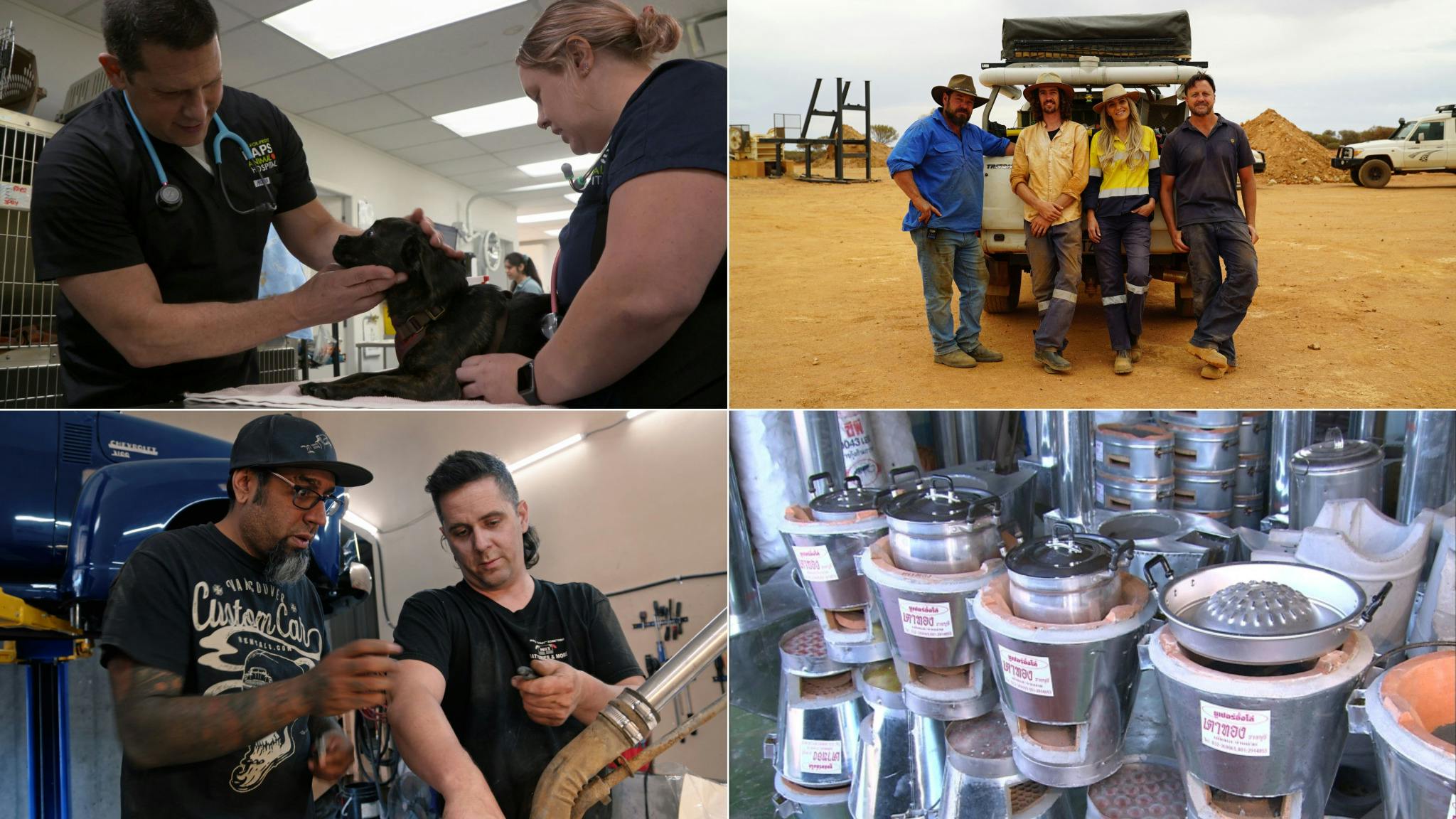 Image for the Bell Media’s Animal Planet, Discovery Science, and Discovery Velocity Channels Rebrand as CTV Wild Channel, CTV Nature Channel, and CTV Speed Channel on January 1 press release