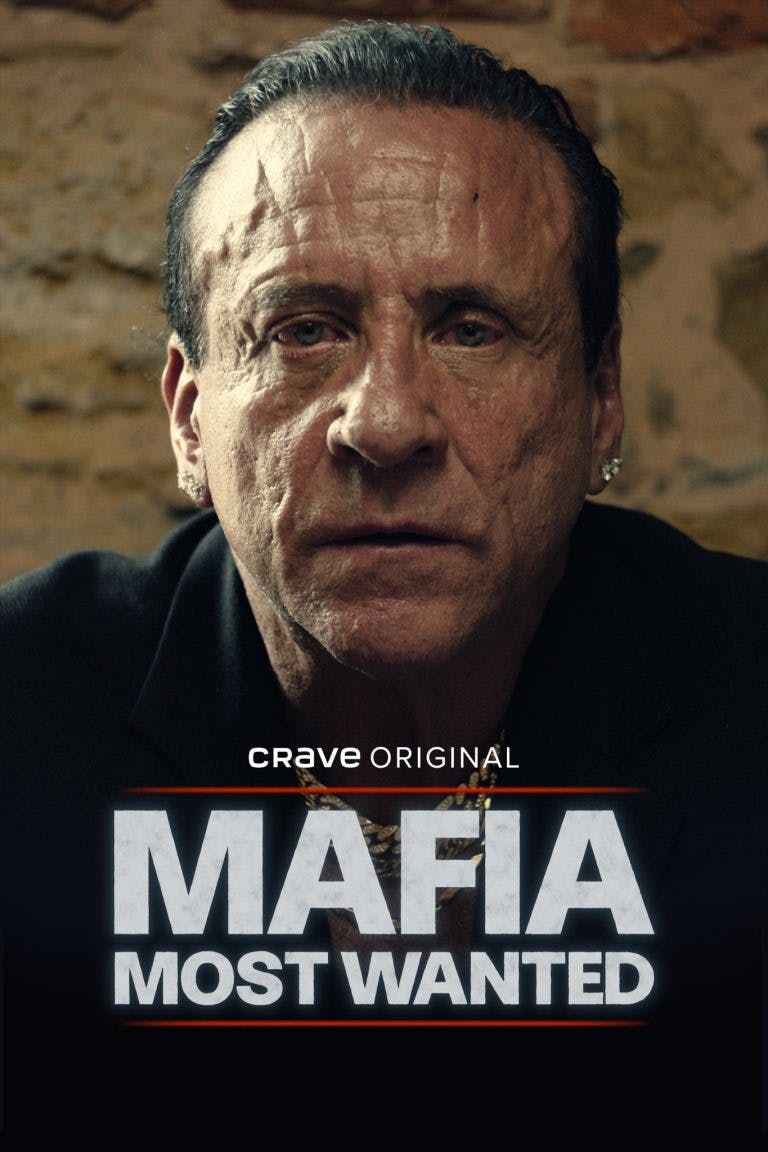 Mafia: Most Wanted poster art