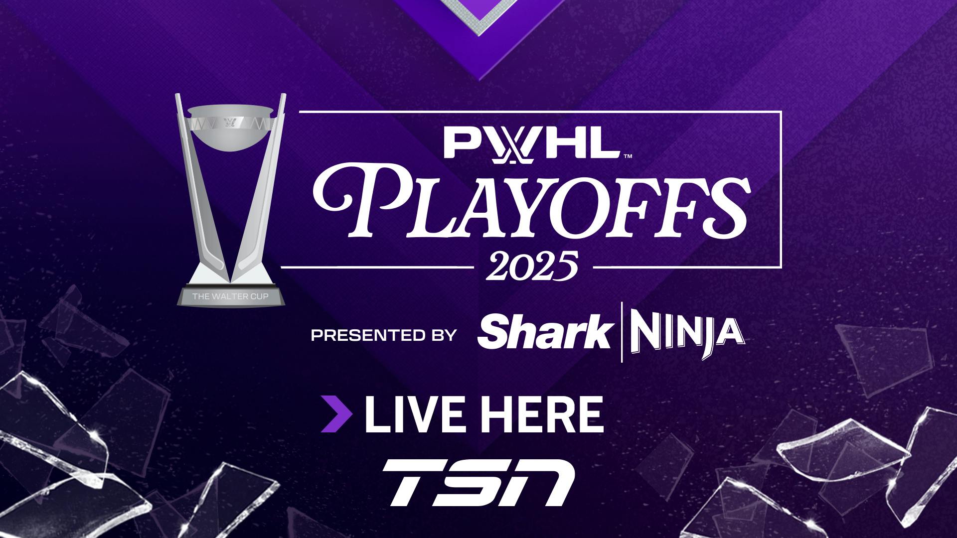 Image for the TSN Delivers Live Coverage of the PWHL PLAYOFFS Semifinal Series Between Montréal & Ottawa, Beginning May 8 press release