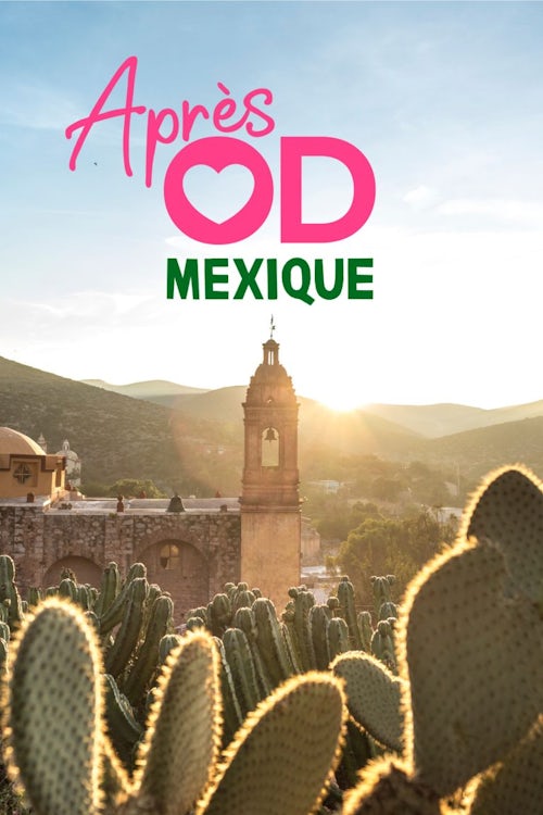 AOD18_KEYART_2000x3000 Après OD Mexique affiche promotionnelle